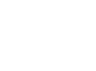 GOLDEN PREMIER