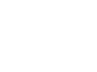 ID INVESTIGATION